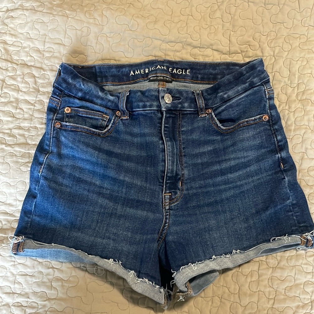 Curvy Hi-Rise Shortie